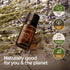 Gya Labs Organic Lavender Essential Oil - 100% Natural for Diffuser & Skin, Aromatherapy & Relaxation, 0.34 fl oz