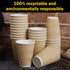 SPRINGPACK 100 pack 12 oz Disposable Paper Coffee Cups with Lids, Ripple Wall Insulated To Go Coffee Cups for Hot/Cold