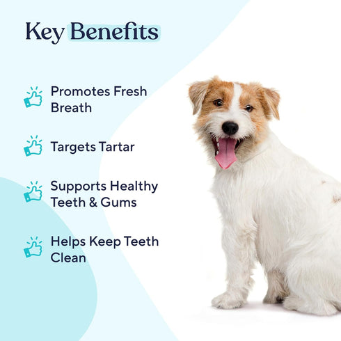 Pawfy Dental Wash | Reduces Tartar and Plaque | Fresh Smelling Breath | No Brushing Needed