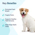 Pawfy Dental Wash | Reduces Tartar and Plaque | Fresh Smelling Breath | No Brushing Needed