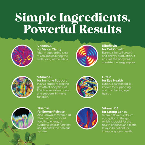 Liquid Multivitamin for Kids, High Absorption | Yummy Toddler Supplement with Vitamins A, C, D3, E, and B6