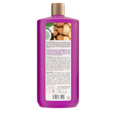 Maui Moisture Heal & Hydrate + Shea Butter Shampoo, 25.4 fl. oz, Revives Dry, Damaged Curls with Coconut Oil