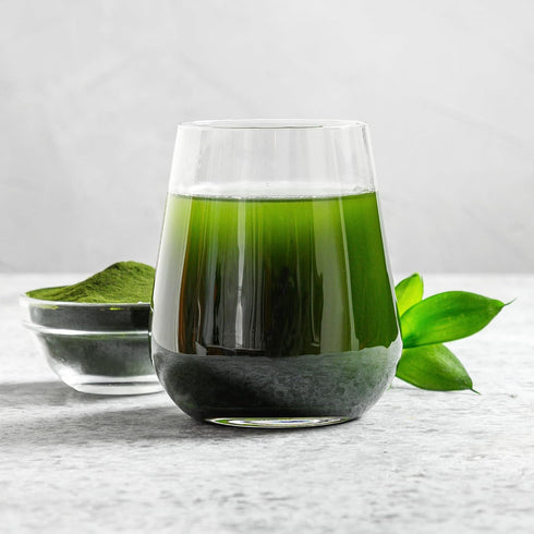 Chlorella Powder, 8 Ounce by PURE ORIGINAL INGREDIENTS