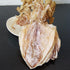 LIFAF (250g(8.82oz)) Dried Squid Dried Cuttlefish