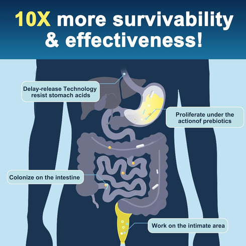 Probiotics for Men, 120 Billion CFUs, 90 Capsules with Digestive Enzymes & Prebiotics for Gut & Prostate Health