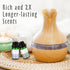 Set, Fragrance Oil, MitFlor Hotel and Mint Fragrance Oils Soap Candle Making Scents, Essential Oils for Diffusers