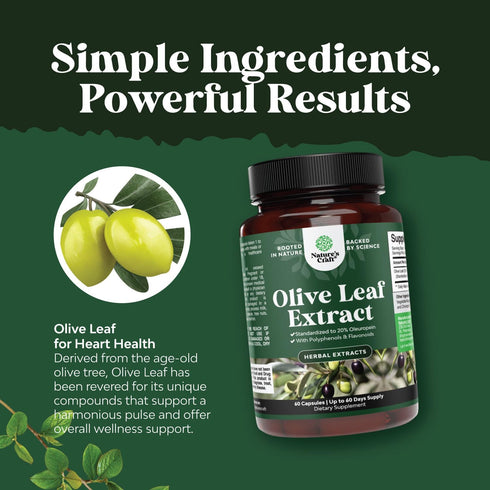 Potent Olive Leaf Extract Capsules - High Strength Antioxidant Supplement with 20% Oleuropein (2 Month Supply)