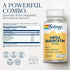 SOLARAY Mega Quercetin with Bromelain, Vitamin C, 60 VegCaps - Antioxidant Support
