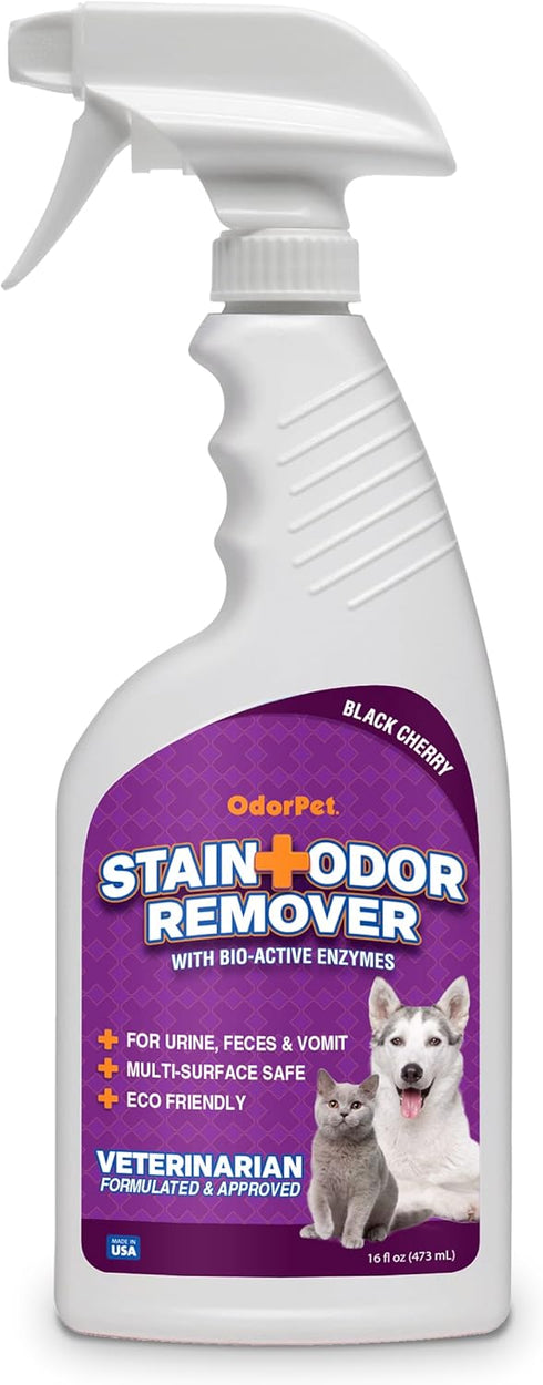 Stain and Odor Remover Spray, 16 oz Black Cherry Scented Pet Odor Eliminator for Carpet and Furniture