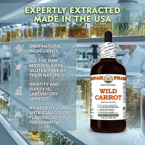 Hawaii Pharm 2 fl.oz Wild Carrot (Daucus Carota) Dry Seed Glycerite, All Natural, Vegan, Lab Tested Alcohol-Free Liquid
