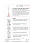 Zina45 Supersmile Replacement Brush Heads for Sonic Pulse Toothbrush