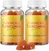 Turmeric Curcumin Gummies - 2 Pack, Sugar Free Turmeric and Ginger Supplement for Immune Support