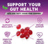 Sugar Free Fiber Gummies for Adults - 60 Gummies | Daily Prebiotic Fiber Supplement & Digestive Health Support