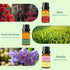 Set 6x10ML Spring Fragrance Essential Oil - Gardenia, Honeysuckle, Rain, Rose, Fresh Cut Grass, Freesia for Diffusers