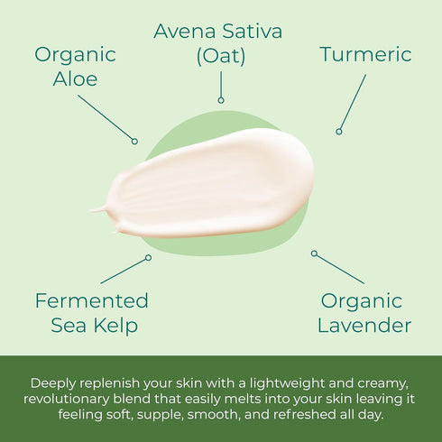 Lamina Sea Kelp Day Cream - Hydrating & Firming Anti Aging Moisturizer for Dry Skin, 2 Oz for Women & Men