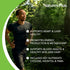 Natures Plus Super B50-90 Vegetarian Capsules, High Potency B Complex Vitamin Supplement