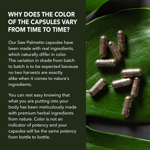 Saw Palmetto For Men Prostate Supplement - Potent Support for Men's Health, Over 6 Month Supply