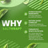 SaltWrap Adaptogen Greens Nootropic, Brain Memory Support Natural Supplement, 90 Capsules