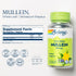 SOLARAY Mullein Leaf 330 mg, Vegan, Non-GMO, 100 Servings, 60-Day Guarantee