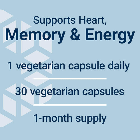 Life Extension L-Carnitine, 500 mg Energy Supplement, Memory Support, 30 Capsules