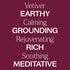 Plant Therapy Vetiver Essential Oil, 100% Pure, Undiluted, 10 mL (1/3 oz)