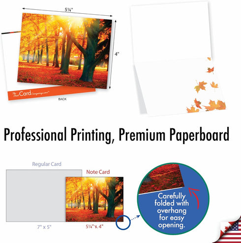 The Best Card Company 10 Beautiful Blank Note Cards (4 x 5.12 Inch) - Fall Foliage Assortment, Boxed Notecards