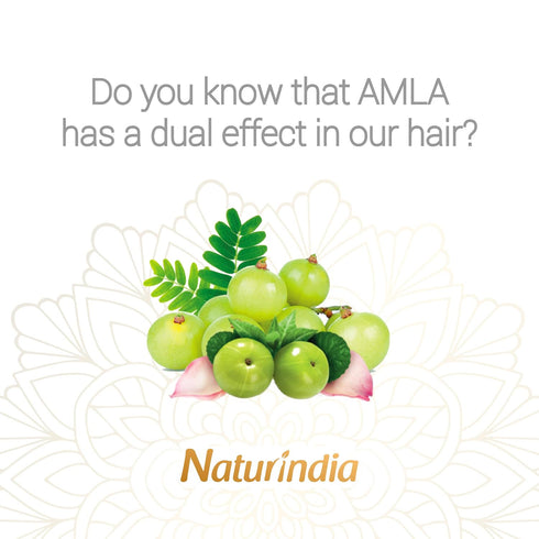 Ayurvedic Organic Shampoo for Hair Growth - Amla Indian Vitalize Formula with Vitamin C & B-Complex for Women
