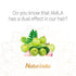 Ayurvedic Organic Shampoo for Hair Growth - Amla Indian Vitalize Formula with Vitamin C & B-Complex for Women