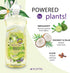 Liquid Dish Soap 3-Pack, Biodegradable & Eco-Friendly, Deep Cleaning Power, Gentle on Hands, Citrus Scent