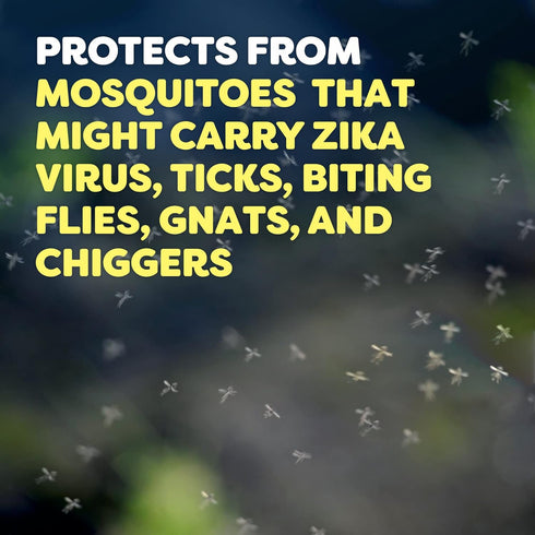 Off Deep Woods Insect Repellent Spray, 6 Ounce (2 Pack)