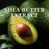 Shea Butter and Coconut Body Scrub, Exfoliating Natural Ingredients for Smooth Skin, Paraben-Free, 8.82oz