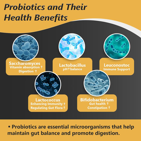 Probiotics with Prebiotics for Men and Women - 35 Strains Organic Probiotics 100 Billion CFU for Gut Health, 60 Capsules