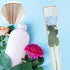 KAJNBN 50 Packaging Pcs Single Bloom Bouquet Wrap Sleeve Flower Bags for Fresh Roses and Carnations Party Wrapping