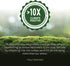Immune 60 (30 Host Defense Chaga Capsules - System Support Supplement - Chaga Mushroom Capsules for Antioxidant