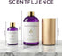 Scentfluence 4oz Santal Diffuser Oil Sandalwood & Cedarwood Oils with Grapefruit, Vetiver, Leather, Citrus, Grapefruit