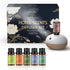 Waterless Rechargeable Scent Diffuser Hotel Collection Diffuser Set with 6 Hotel Essential