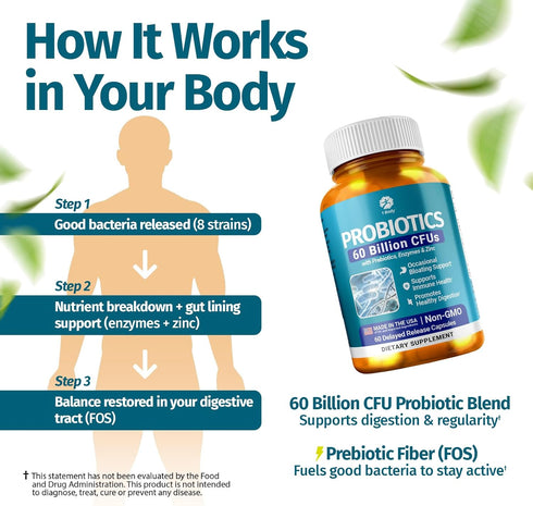 1 Body Probiotics, 60 Billion CFU Gut Health Supplement with Prebiotics, Digestive Enzymes, Vegan, 60 Capsules