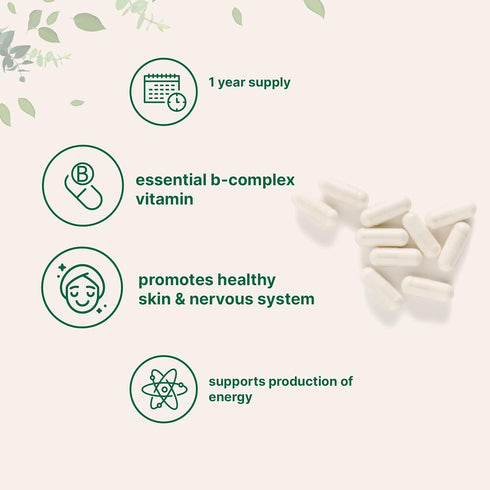 Micro Ingredients Pantothenic Acid Vitamin B5 Supplement, 500mg, 365 Capsules