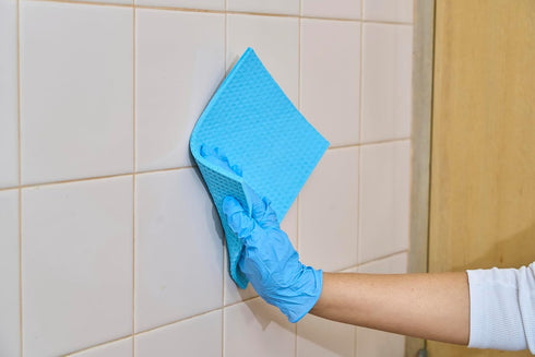 Spontex (Pack 10) Specialist Sponge Cloths