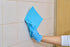 Spontex (Pack 10) Specialist Sponge Cloths