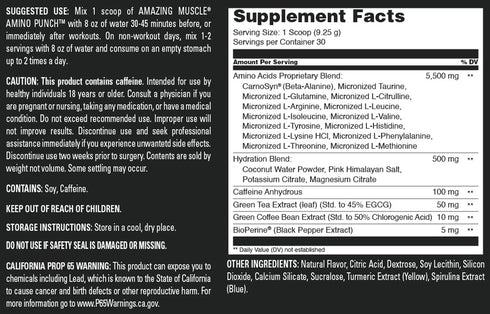Amino Punch, 30 Servings, Green Apple Flavor, Proprietary Blend of Amino Acids, Made in USA
