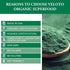 Spirulina Powder Organic: Superfood Powder for Immune Support, Natural Antioxidants & Vitamins, 1 Pound