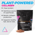 Livingood Daily Plant Collagen Powder, Chocolate, 30 Servings for Healthy Hair, Skin & Nails
