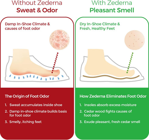 Zederna Cedar Wood Shoe Insoles, 1 Pair, Cedar/Red, US M 9/W 10.5/EU 43
