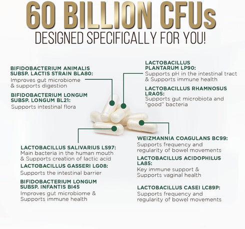 Daily Probiotics and Prebiotics 60 Billion CFU - 10 Diverse Strains for Digestion, 60 Capsules for Men and Women