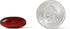MegaRed Antarctic Krill Oil 750mg, Omega 3 Fatty Acid Supplement, Ultra Concentrate EPA & DHA Softgels, Antioxidant