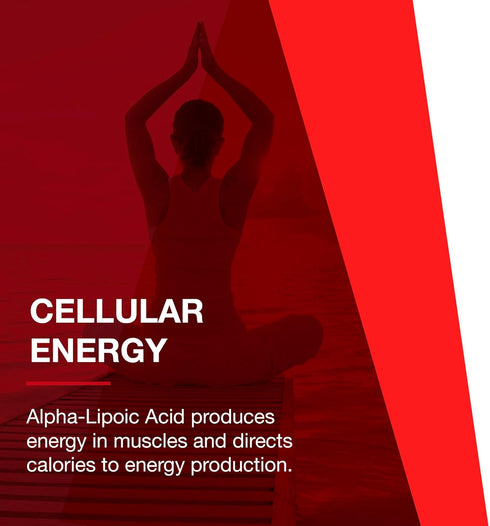 Protocol Alpha-Lipoic Acid Supplement - 250mg ALA with Grape Seed Extract & Bioperine - 90 Veg Capsules