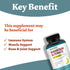 Magnesium Glycinate Supplement 500mg | 90 Capsules | 100% Chelated for High Absorption Essential Mineral