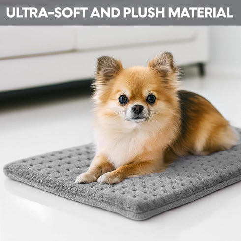 PAGOBETTER for Light Use Only LowHeat Model Curve Design Electric Heating Pad, Suitable for Women, Small Size