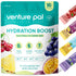 Venture Pal Sugar Free Electrolyte Powder Packets - Liquid Daily IV Drink Mix for Rapid Hydration, 16 Sticks